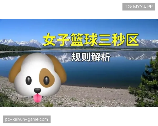 深入解读篮球“限制区规则”的核心要点与适用条件 深入解读篮球“限制区规则”的核心要点与适用条件
